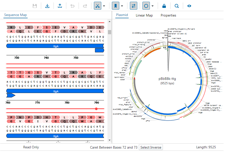 Download Teselagen's Open Source Vector Editor Component