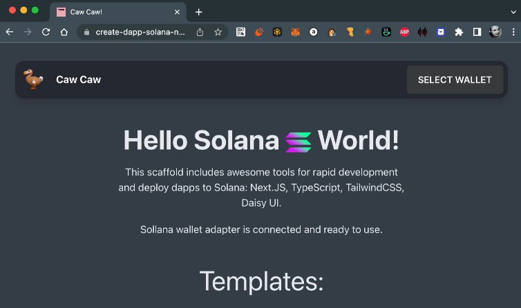 Scaffolding for a Solana dapp using TS, Next.JS, Tailwinds CSS, and Daisy UI