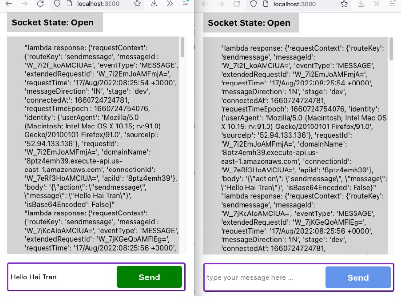 Just show a simple setup with api gateway socket
