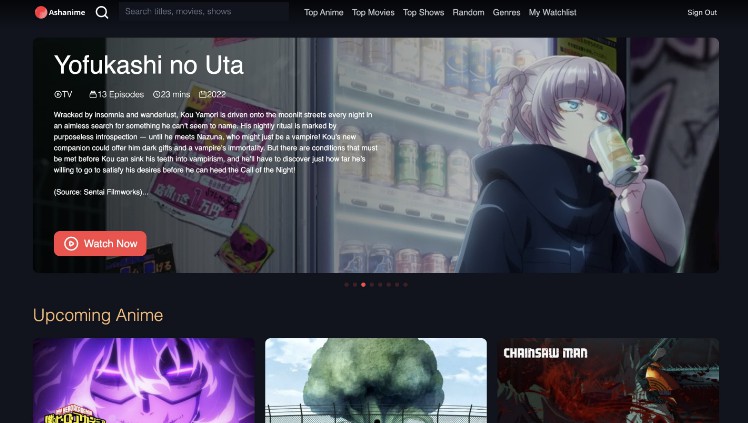 Watch anime ad free through a beautiful UI